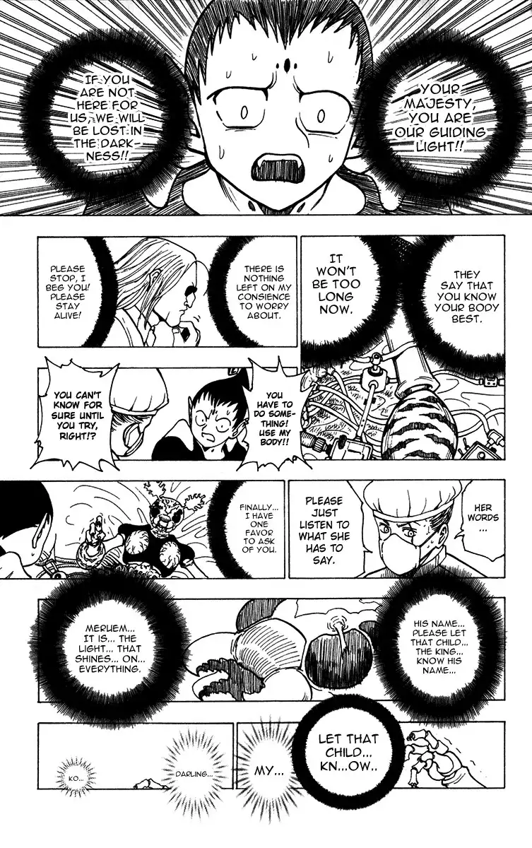 Hunter x Hunter Chapter 215 9